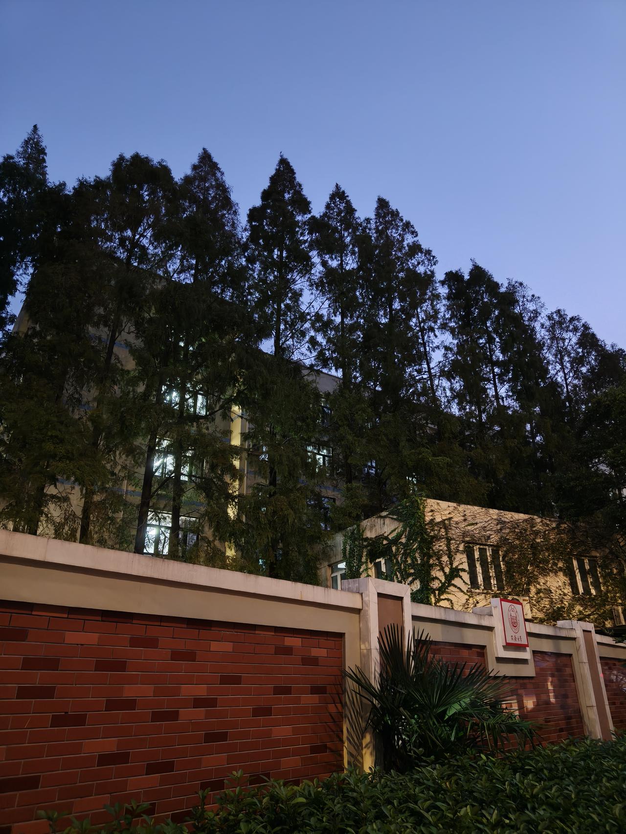 这季节变幻太快，一秒入冬了！下班的时候天色已晚，看看身边的植物花草🌿