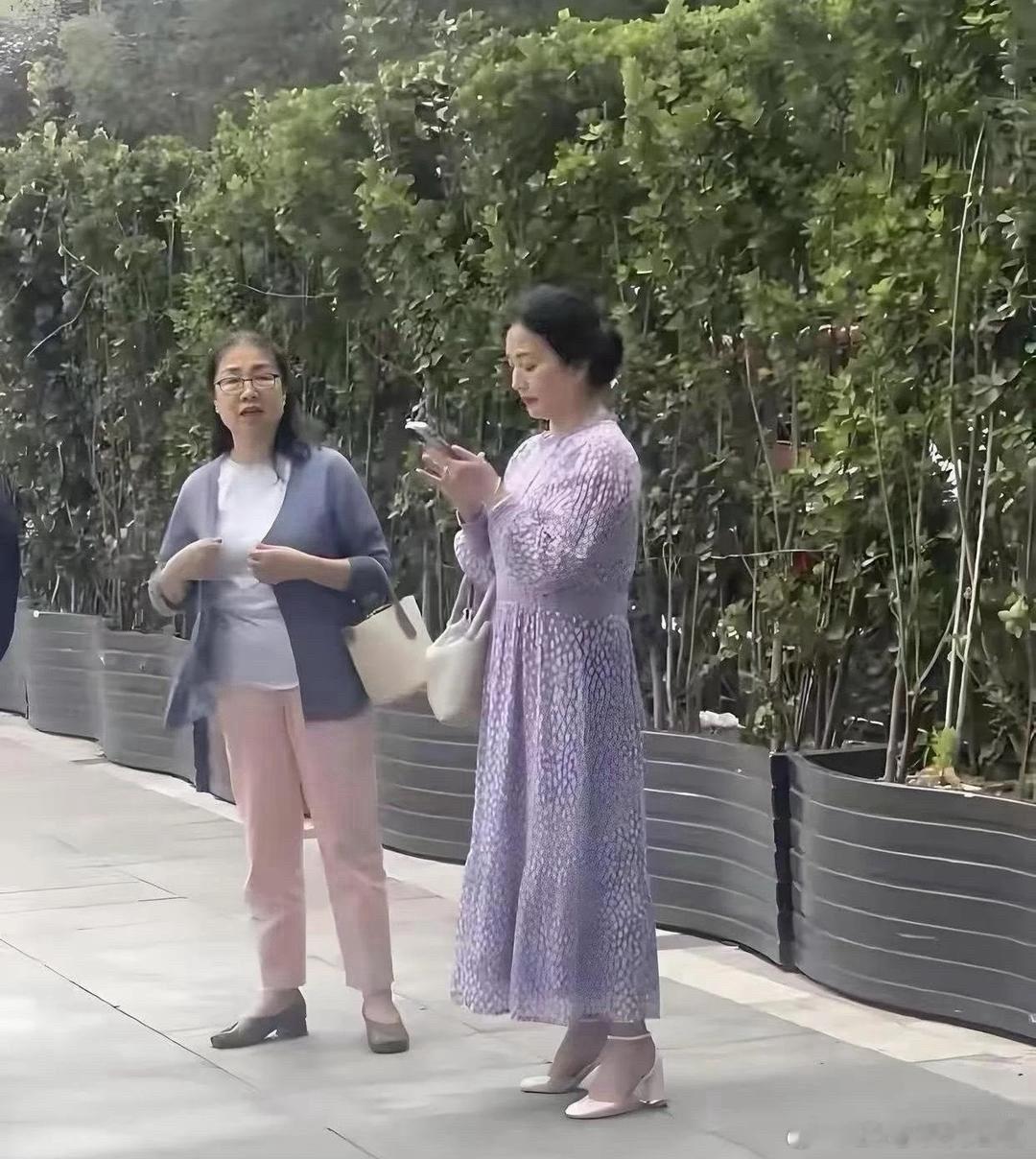 刘亦菲她妈被碰到了，65岁还美翻了，慕了