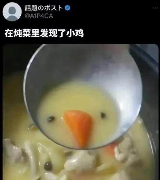 在炖菜里发现了小鸡食物小黄鸡小鸡炖菜