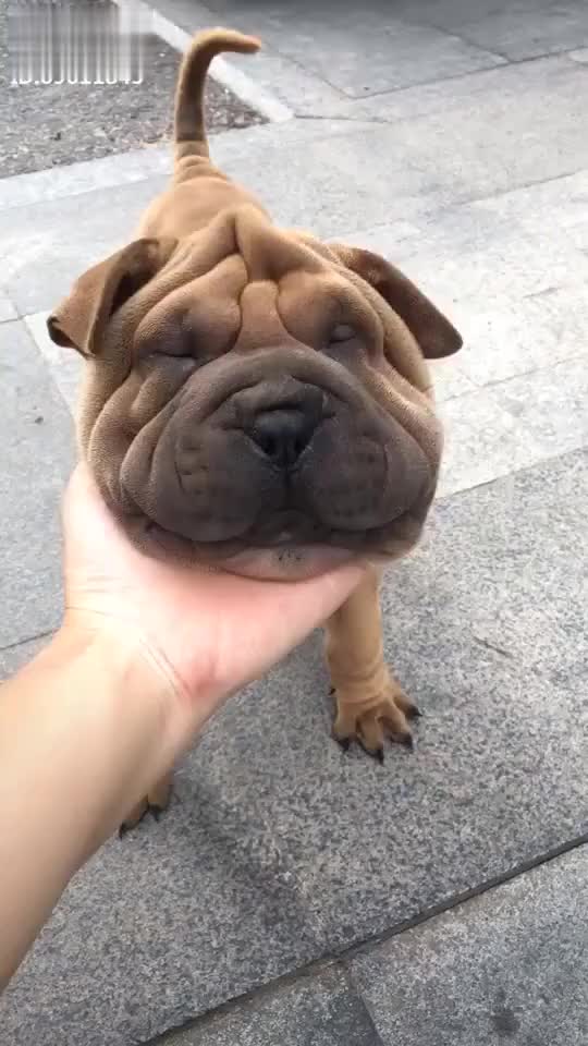 837824405027135904.jpg?id=0