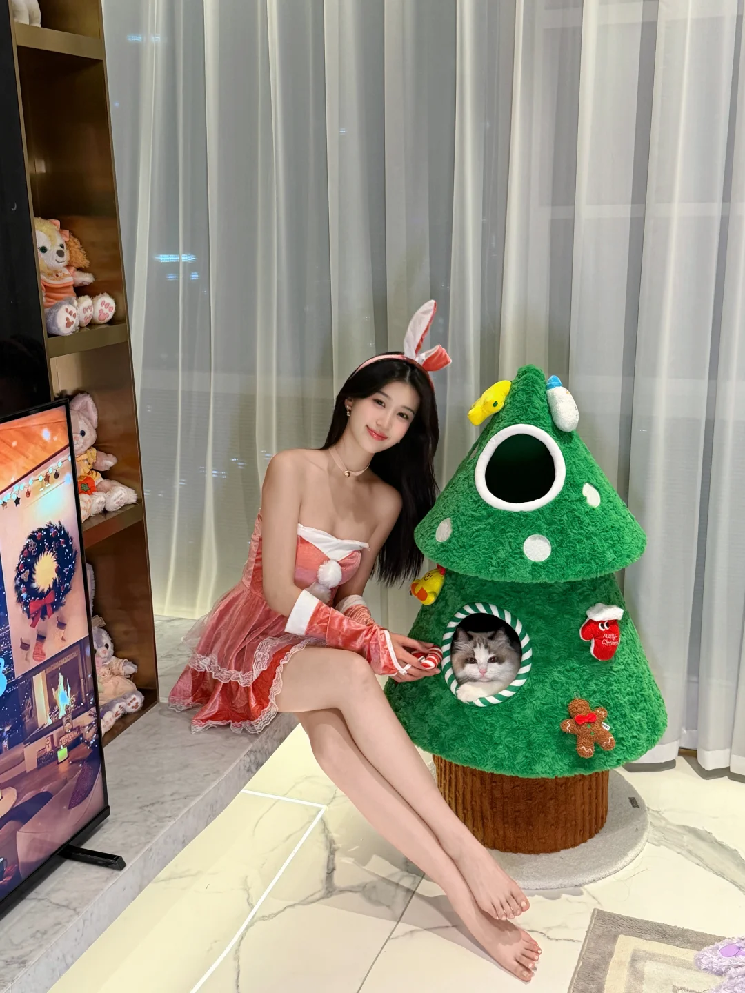 圣诞兔兔🎄🧑‍🎄