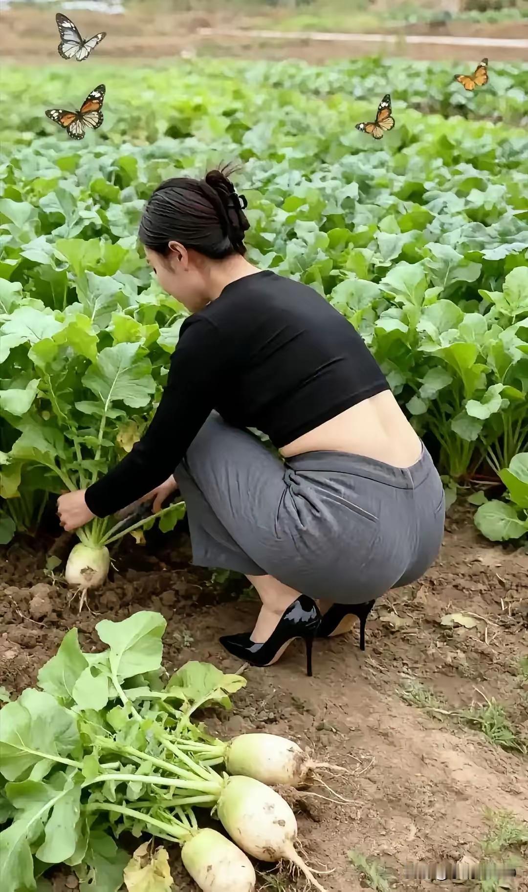 不远的老家有一块小菜地，自己种菜自己吃，绿色无污染，还分享给城里的邻居们。自己动