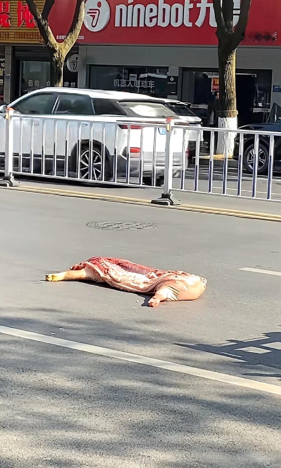 这在马路中间怎么都没人捡