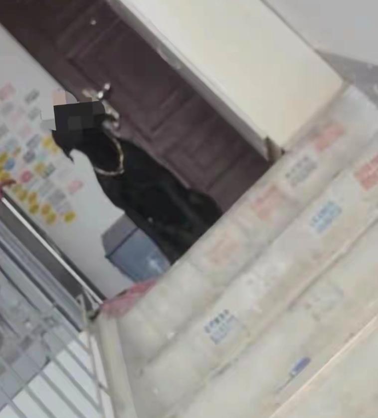 武汉80岁老人家，身体吃不消，想着把自己名下一套闲置老房子卖掉，安安稳稳养老。这