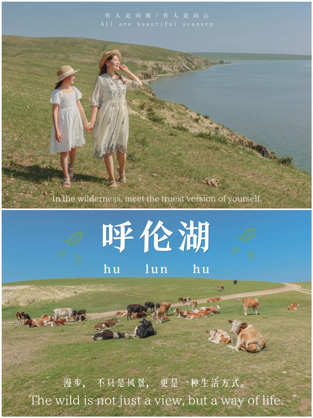 呼伦贝尔尾声｜在呼伦湖，与草原好好告别🌊