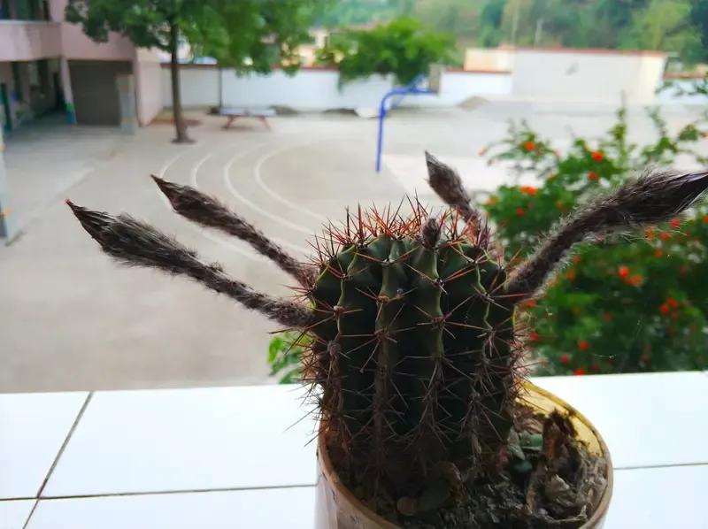 我们学校的体育老师，竟然被学生打了，普通教师谁能管住这种学生？现在的学生太猖狂