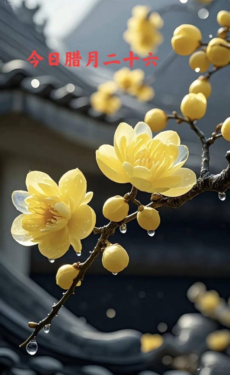 不是迷信！今日腊月二十六，牢记：1不凉，2要早，3要吃，别大意今日腊月二十