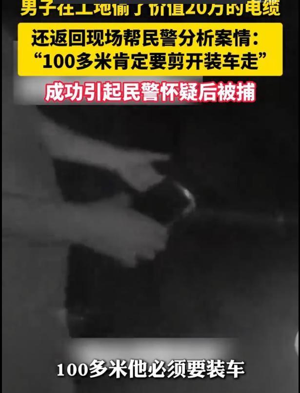 "搬起石头砸自己的脚！"浙江温州一男子盗走价值超20万元的百米电缆后，竟化身"热