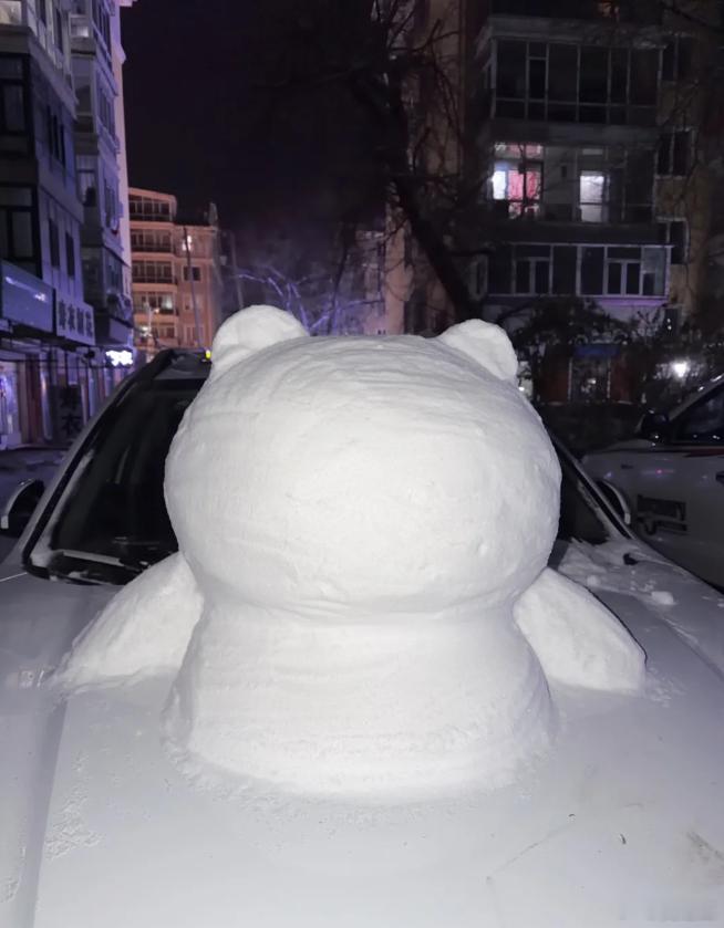 就前几天下雪，年度最佳雪人就这样诞生了！