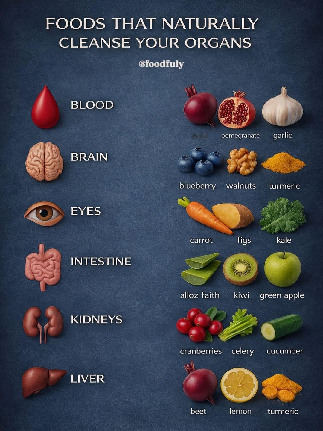 能够自然清洁器官的食物。血液‌：甜菜、石榴、大蒜大脑‌：蓝莓、核桃、姜黄眼