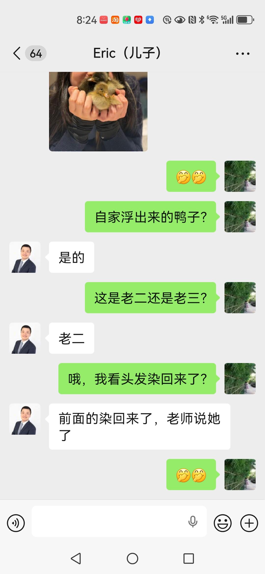 上午儿子发来一张照片，孙女双手捧着一窝自家鸭子孵出来的小鸭，毛茸茸的特别可爱。