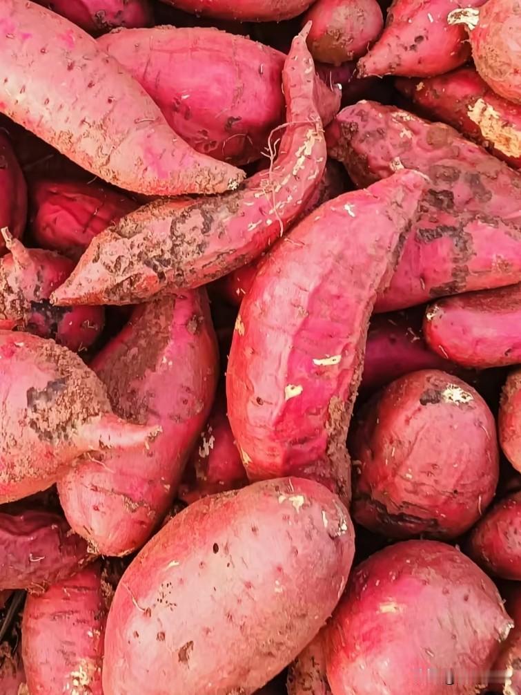 最近云南建水红薯真的让我整个人都不好了！部分种植户为了让红薯“长得好看”，竟