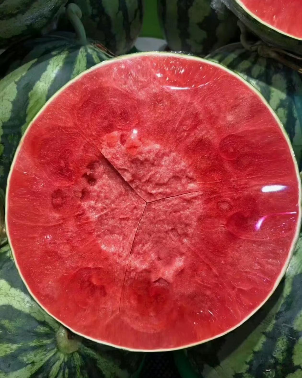 有人知道这西瓜是什么品种的吗？这妥妥的报恩西瓜