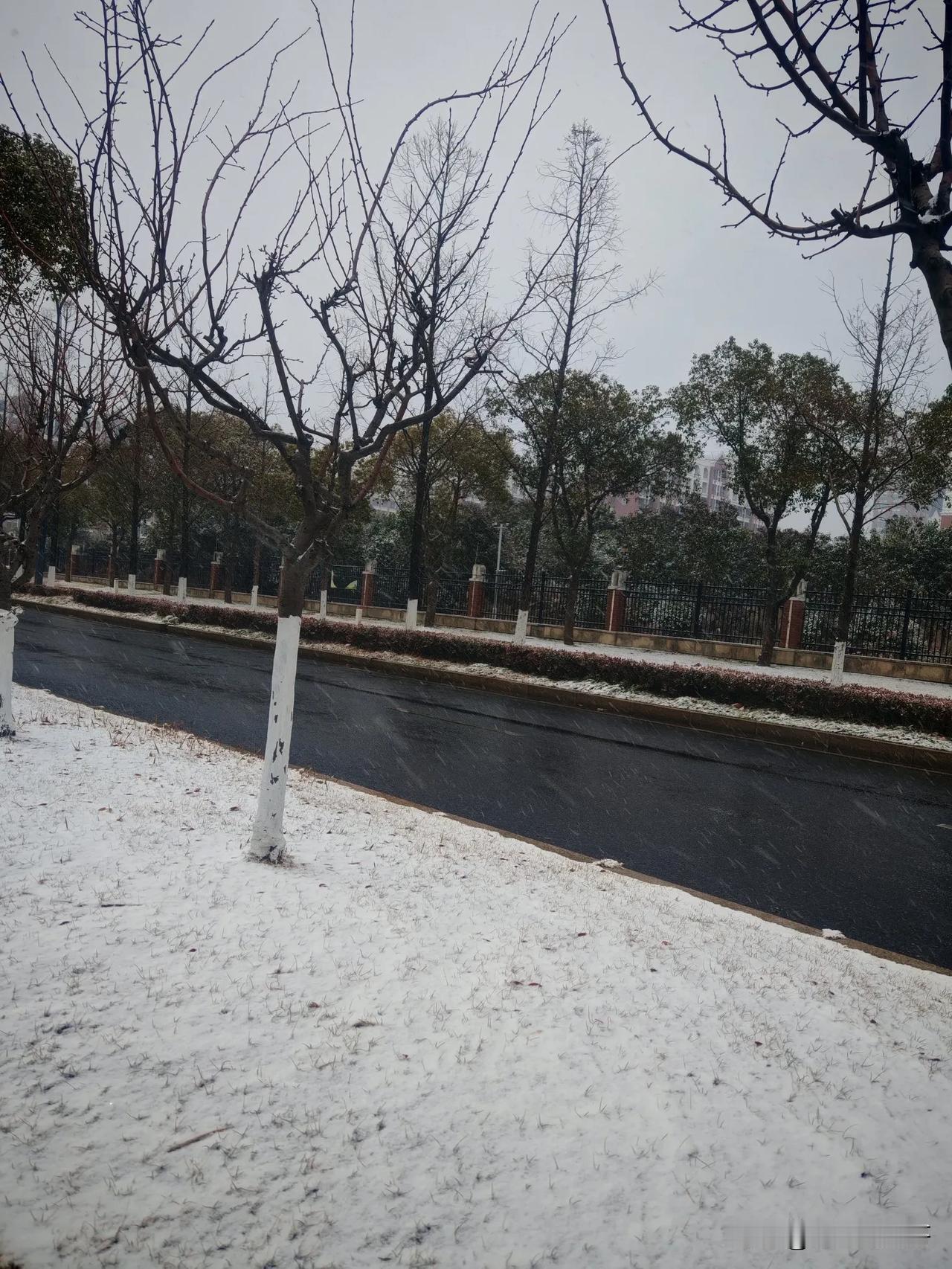 南通又来了一场大雪，今年注定是一个丰收之年！早上送孩子上学，孩子问“为什么大家
