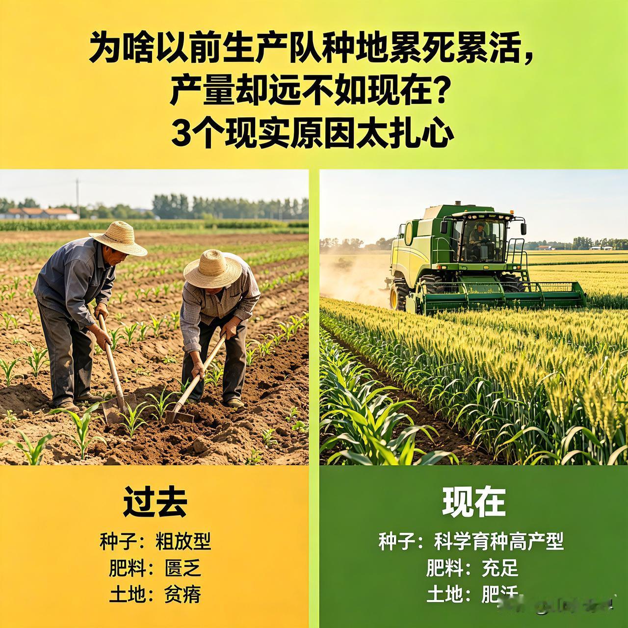 为啥以前生产队种地累死累活，产量却远不如现在？3个现实原因太扎心很多老一辈