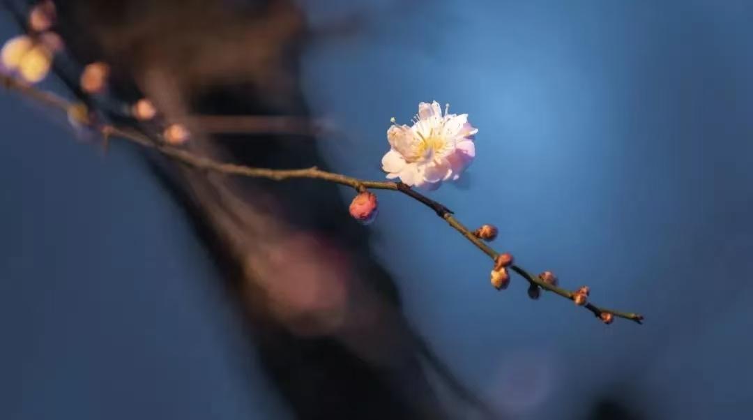 媳妇劝我不要让亲戚来家里住，我把她赶回娘家去了，可是我现在后悔了。前几天，老