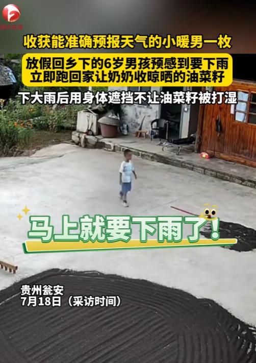 “彻底解释不清了！”贵州瓮安，艳阳高照，男孩却突然跑回家告诉奶奶要下雨了，赶紧把