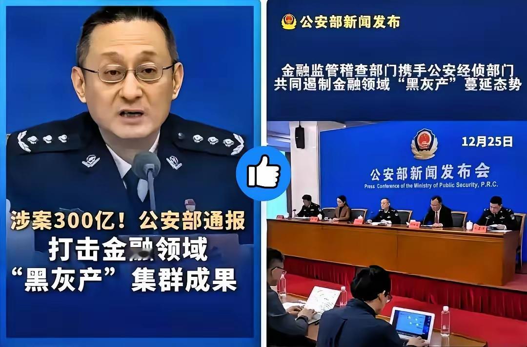 12月25日，公安部这场会开得真是让人背后发凉。​平日里浓眉大眼的度小满、36