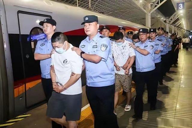 抓了580个精英？这黑恶势力太会装