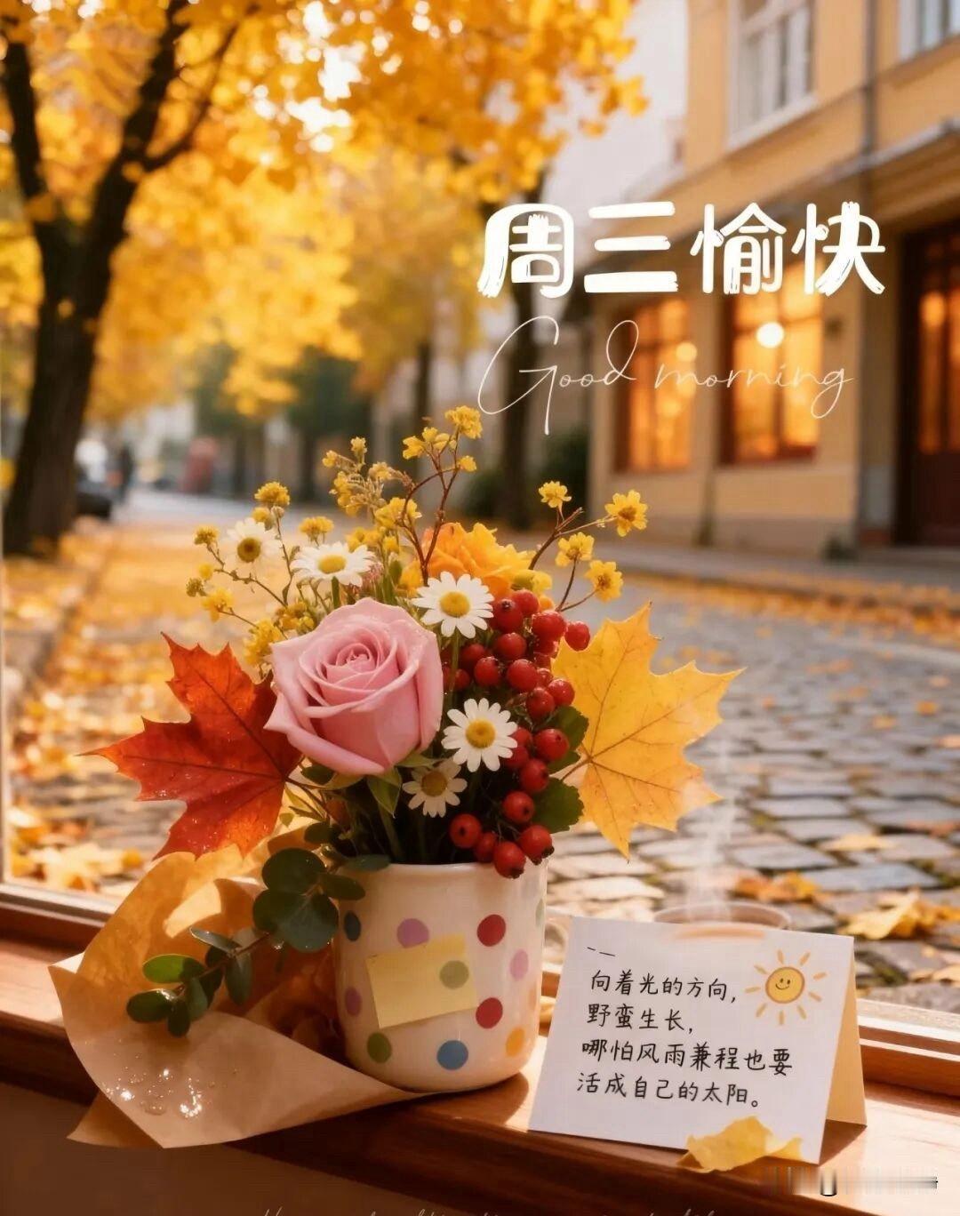 🍎²⁰²⁶/₀₄.₀₈🧨ᵕ̈🐎🍃🌻🍒🍡🍃𝐌𝐨𝐫𝐧𝐢