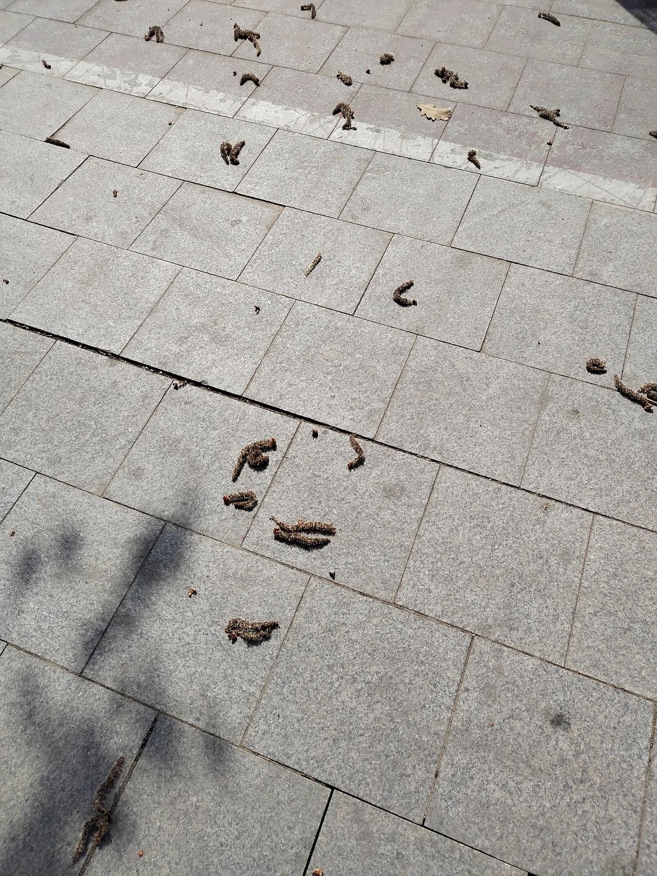 谁把你当成情绪垃圾桶，谁就是看不起你。别傻乎乎的以为他是把你当自己人，实际上他