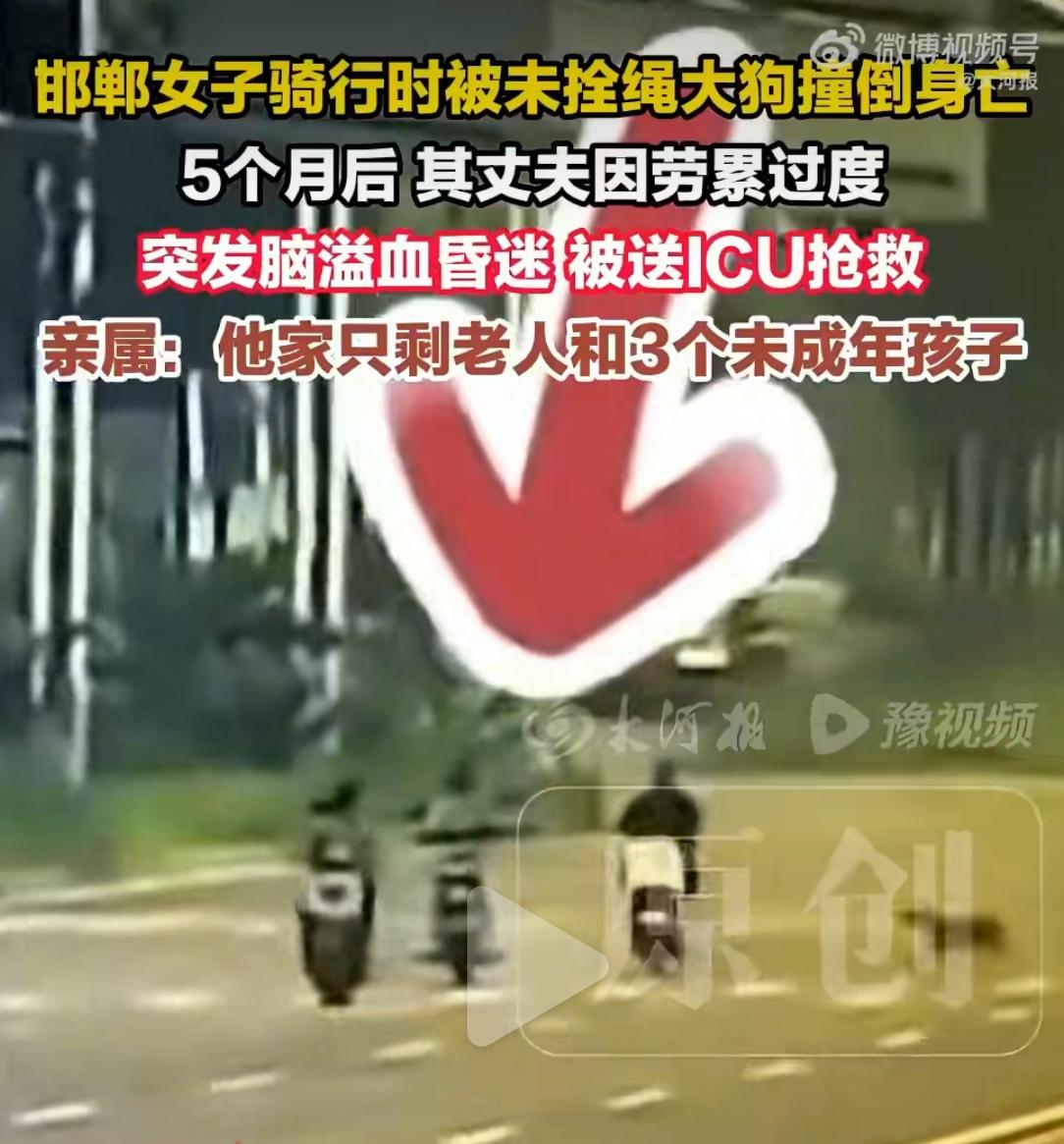 河北一女子被未拴绳大狗撞飞身亡，丈夫维权5个月累倒ICU！70岁爷爷带3娃捡废品