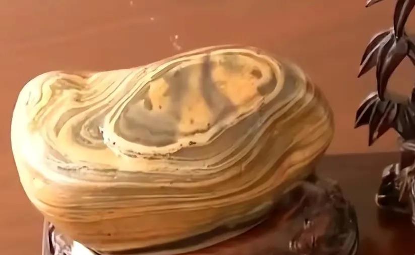 2003年的一个普通夏日，青岛崂山海滩上，一块被海浪冲刷上岸的石头，意外开启了市