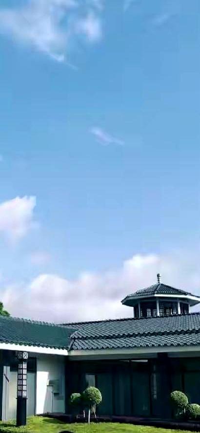 火化那天，炉门合上时，她像卸下千斤，没流一滴泪——泪早在这几年被抽干了。他才3