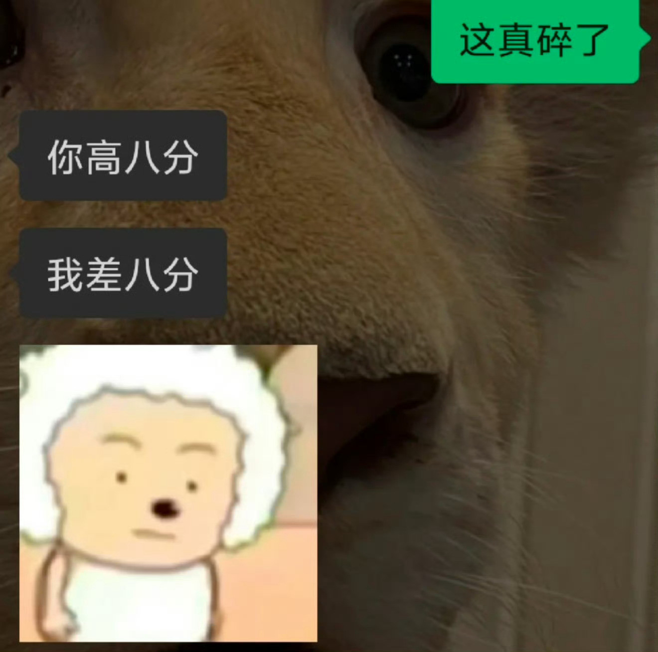 Crush六级差8分过，我多8分过了，怎么哄他！！！