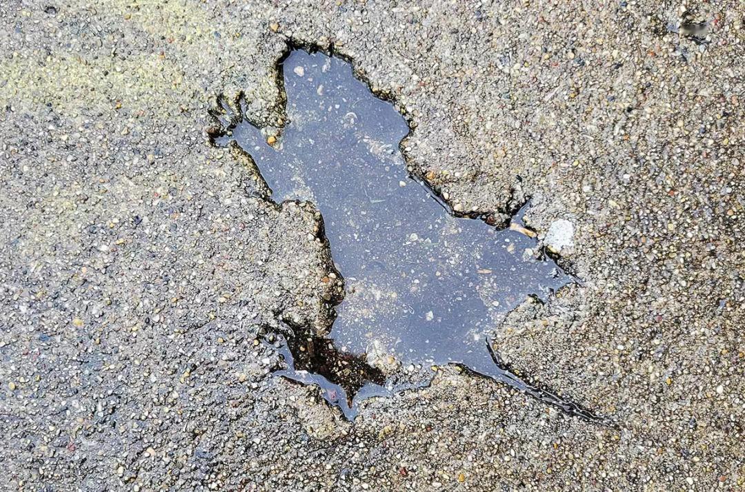 【鼠鼠我啊，也不知道自己是怎么鼠的~】“芝加哥老鼠洞”是2024年美国社交网络上