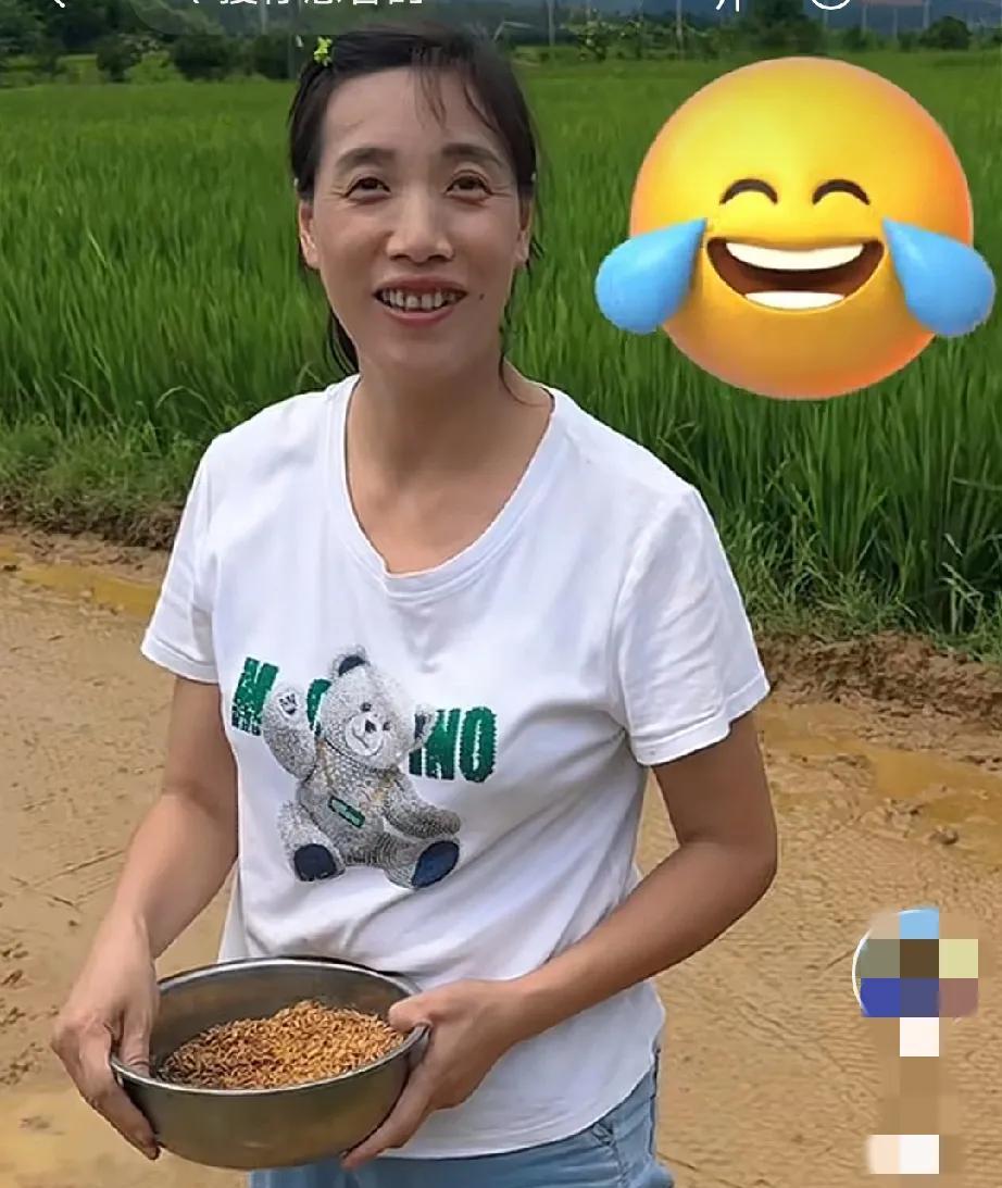 二哥逆袭记一家齐上阵，播种晚稻，作为北方人我终于知道水稻是怎么育苗的，还真是长见