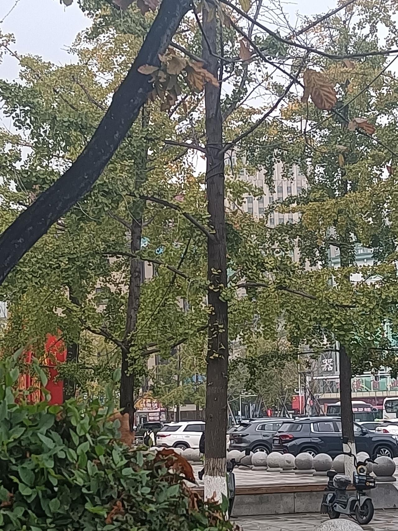 名利在健康面前一文不值。老公今天白天还好好的，晚饭还喝了2两白酒。临睡觉忽然