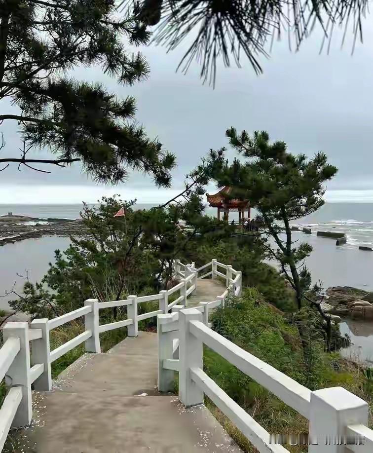 说起青岛好看的公园，大多数人第一反应都是大名鼎鼎的中山公园，今天我来给大伙安利一