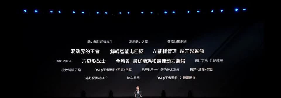 疯了疯了，比亚迪彻底疯了！全系标配！全系标配！降价！降价！汉LDM价格20