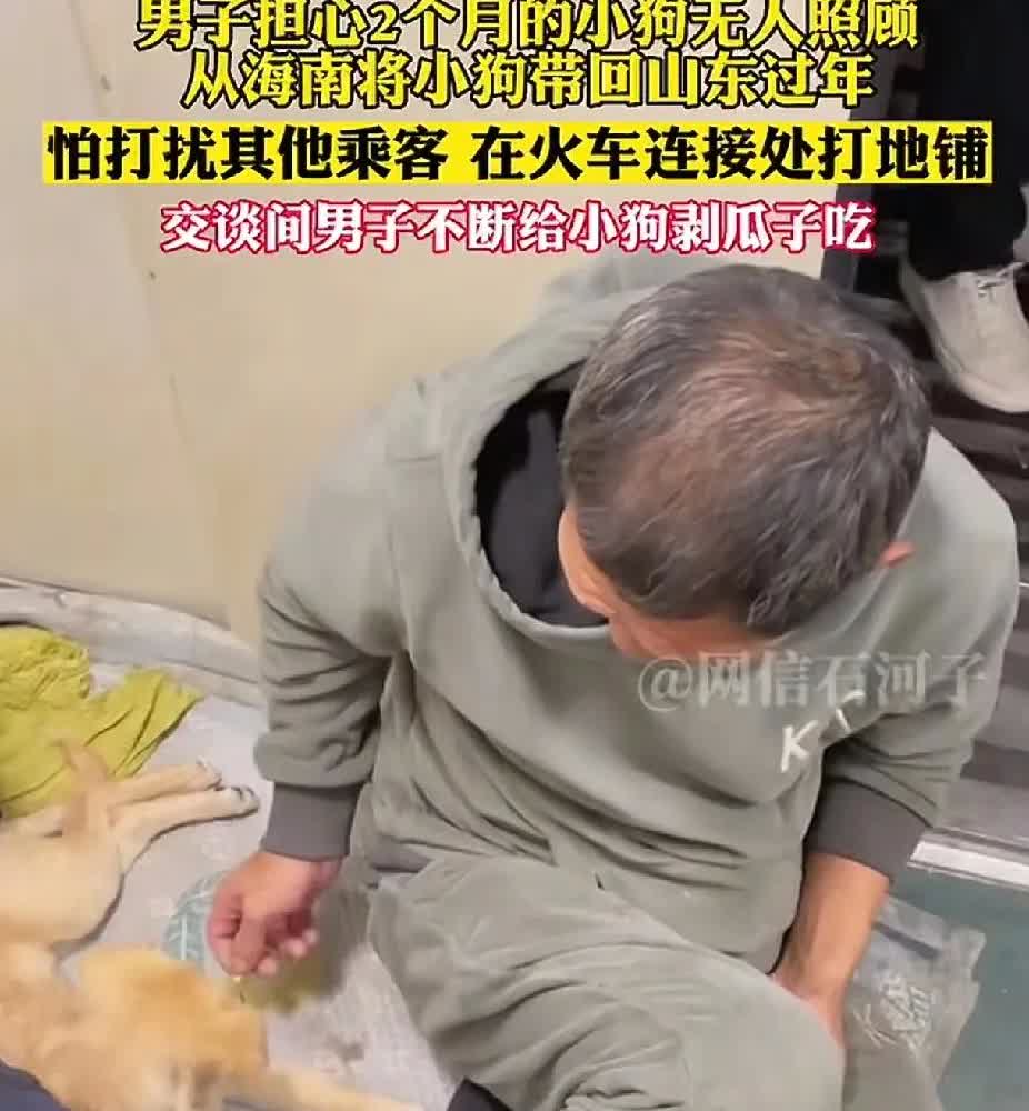 男子担心两个月的小狗无人照顾从海南带回山东老家过年怕打扰其他乘客就在火
