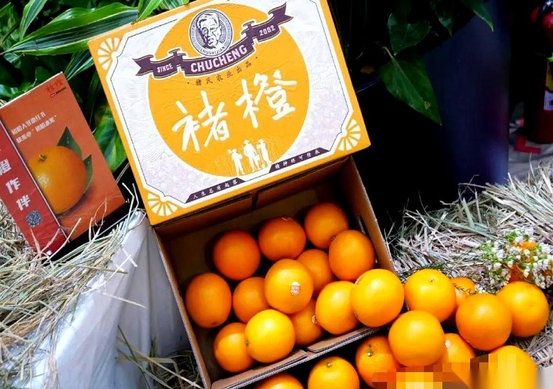 别再信什么70岁老人种橙子、东山再起的神话了。真的，太鸡汤了。人家卖的压根就