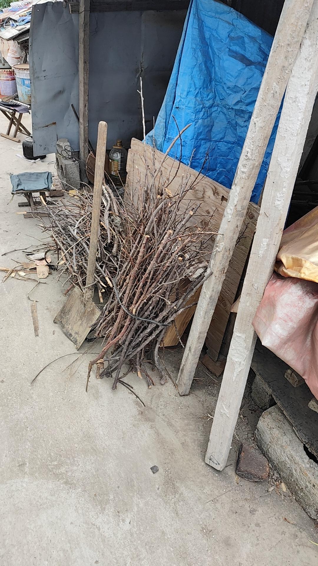 一直觉得如果真是朱允炆能撑下去，朝能更好，小朱虽然能力比朱棣差点，但他是个仁厚之