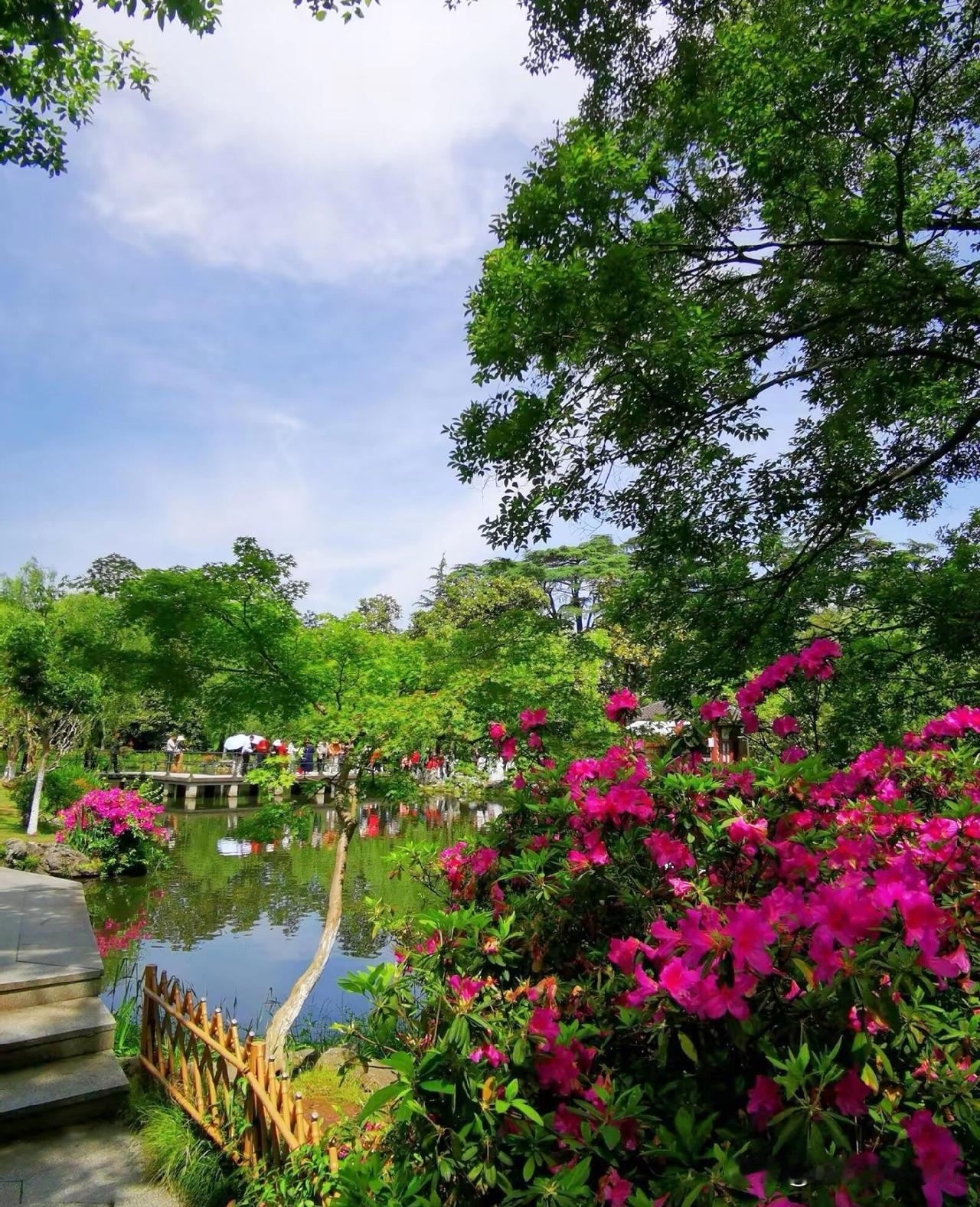 徒步赏景杭州西湖十景之一“花港观鱼〞景区，‌景区主要景点牡丹园‌，占地1公顷