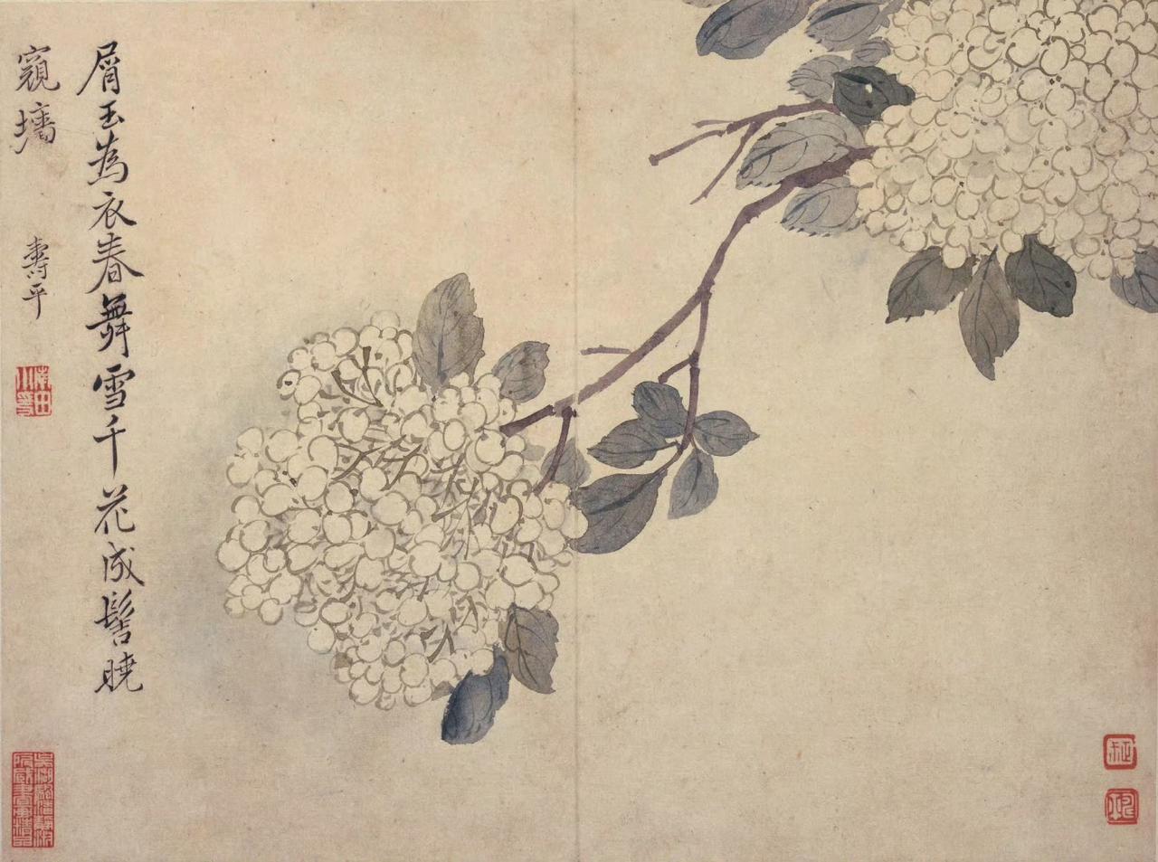 恽寿平的画作，透着一股清朗绰约的气质。他的笔触细腻，色彩淡雅而富有层次，无论是花