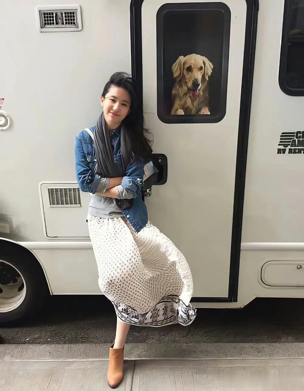 谁能懂刘亦菲这张图的含金量！好强的生命力，不禁感叹一下真的是天仙没错了，松弛感满