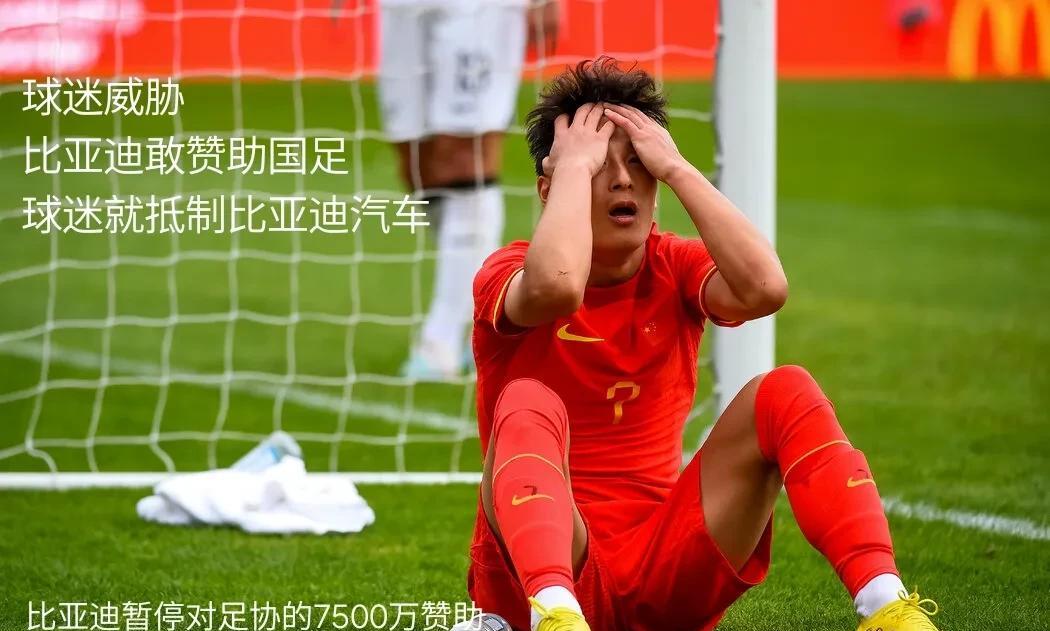 有一个很冷门的新闻：比亚迪汽车暂停了对中国国足7500万元的广告赞助。起因是