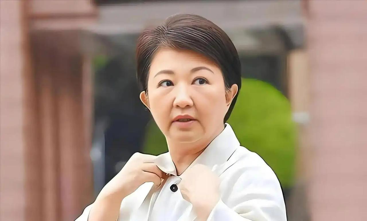 蓝营2028这盘棋，真正输不起的只有卢秀燕一个人为什么这么说？咱把账算清楚。