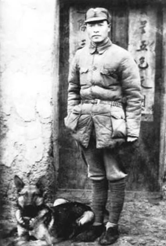 1939年，游击支队穷得只剩3块钱，为度过难关，彭雪枫忍痛卖掉了13匹战马，谁知