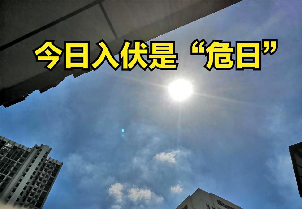 今天入伏撞上"危日"，老话说：1不晒、2不贪、3不怒，不是迷信。今天翻开老黄