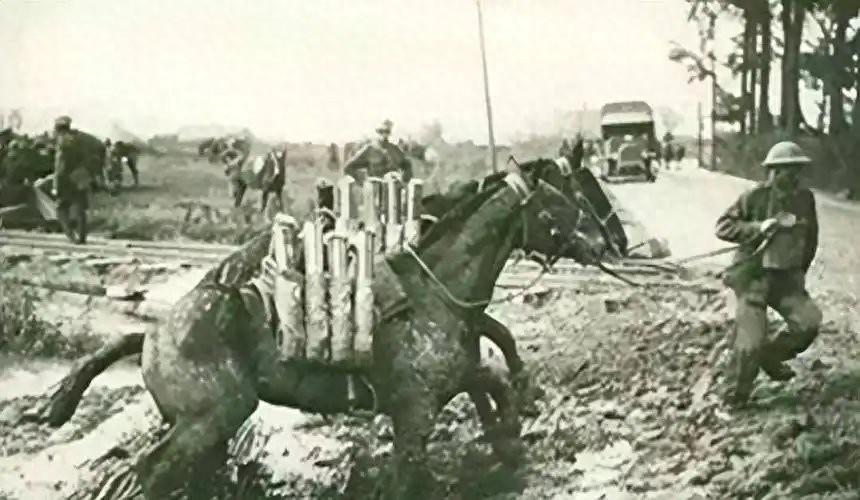 1945年9月9日，南京，冈村宁次在投降书上签了字。跟着枪炮一起交出来的，还有约