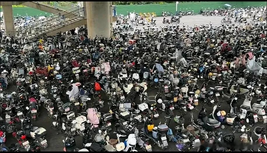 广州的一个地铁站旁的立交桥底，成为了电鸡的停车场。放眼望过去，这一大片电鸡密密麻