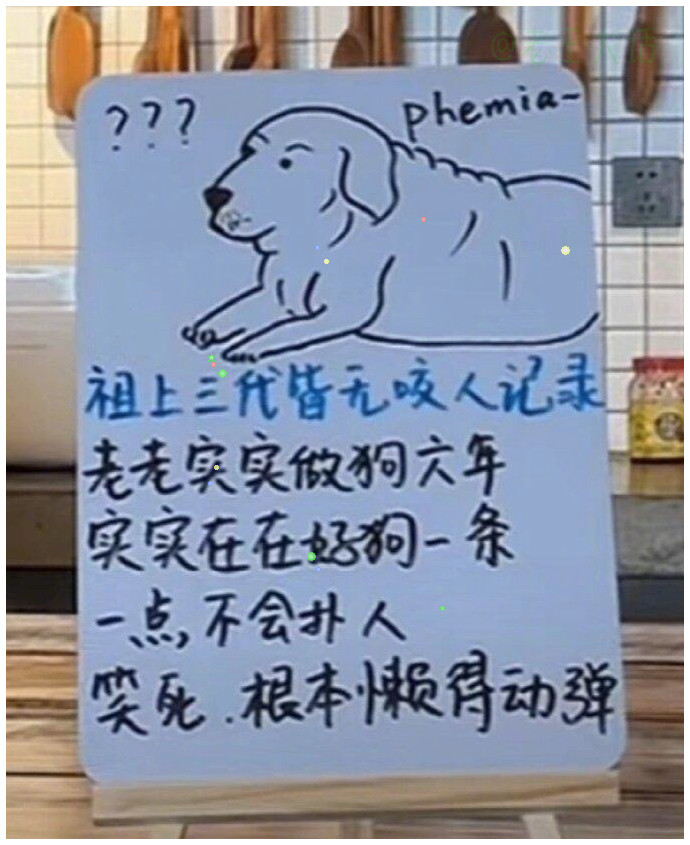 动物界扫黑除恶开始了