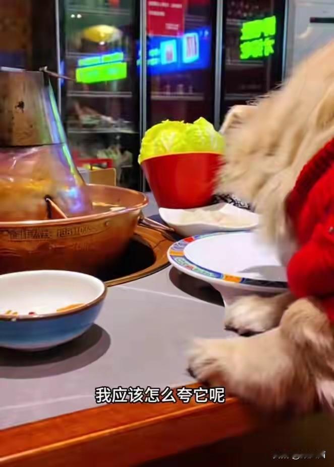北京女子带狗上桌吃涮肉，舔完公共餐盘还炫耀，店铺百万损失要她赔！近日，北京