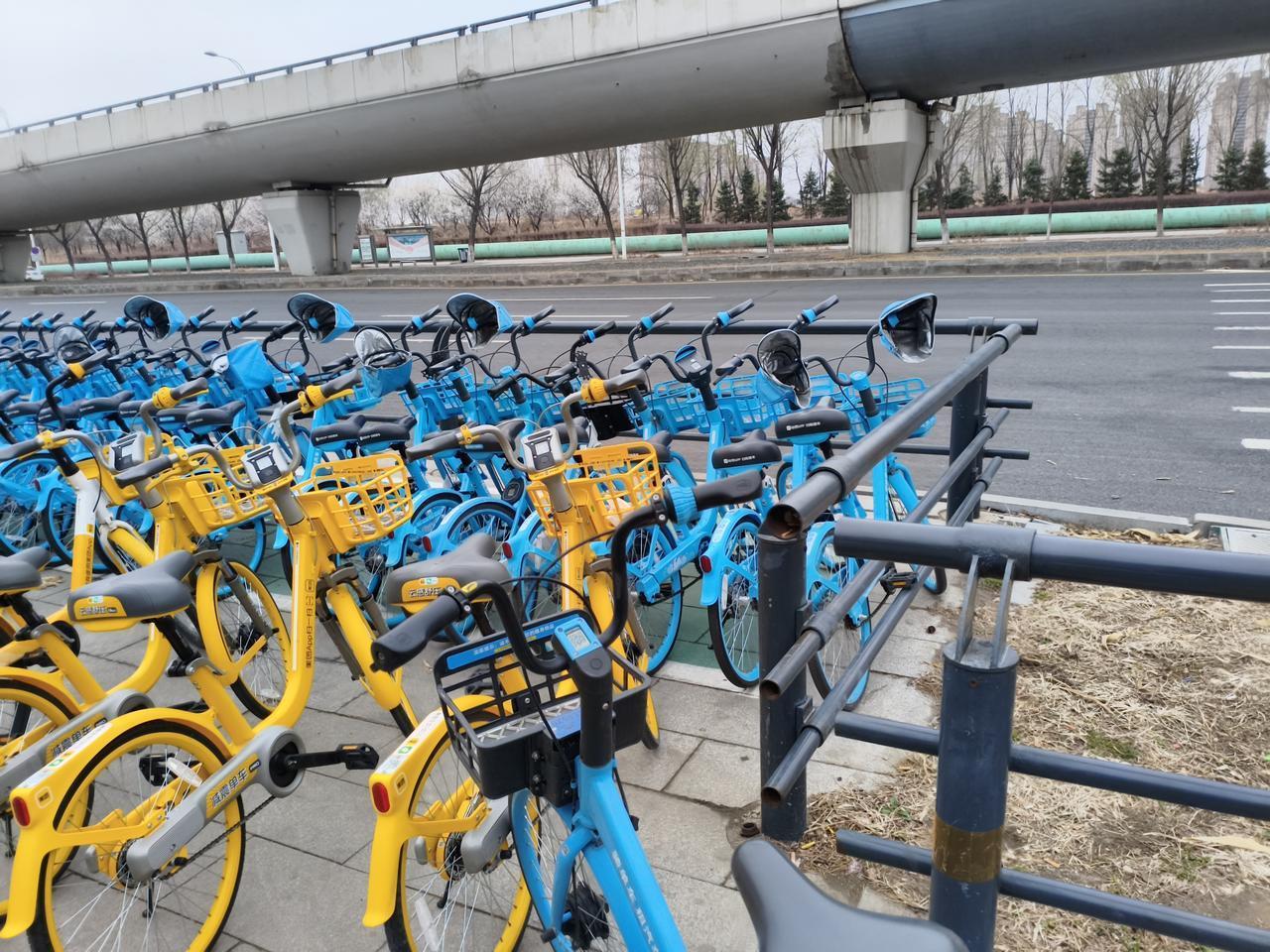 “单车和电动车”俨然成为沈阳南站乘客出行的主力军！今天我要出差，从胜利大街万科