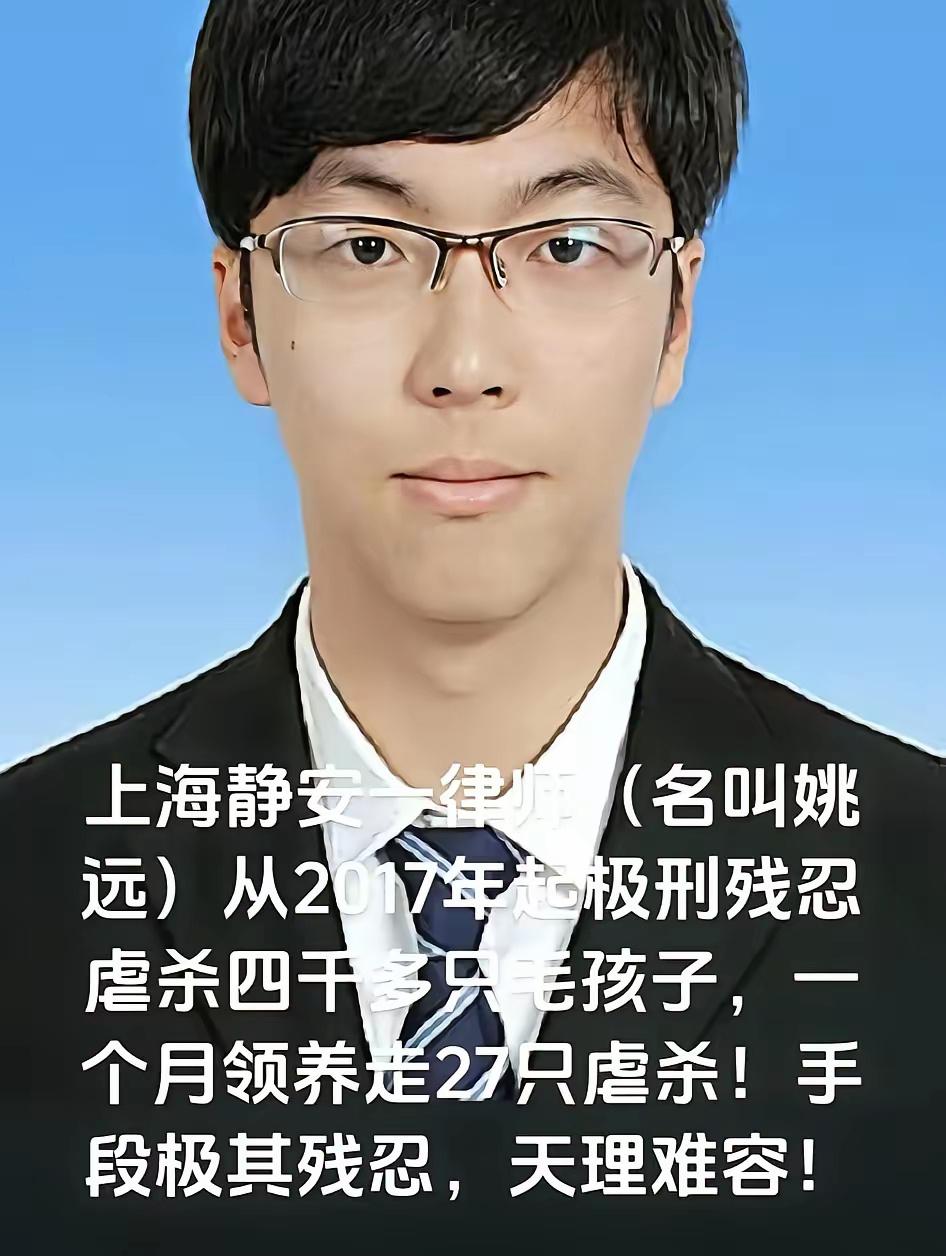 上海一年轻律师姚某涉嫌虐猫高达4000多只，被所在律所开除，这已经没法用残忍来形